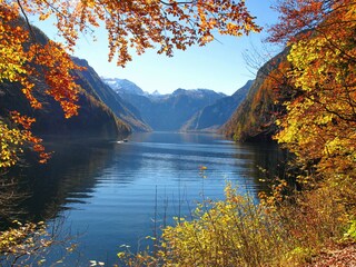 Der Königssee vom Malerwinkel aus