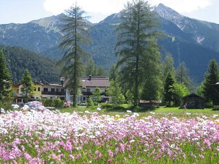 Appartement de vacances Seefeld in Tirol Environnement 31