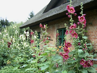 Bauerngarten am FH