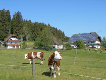 Ferienwohnung Ursprung