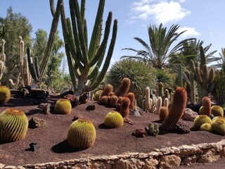 Villa La Pared Ambiente 19