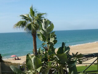 Der schoene Strand Roche von der Terrasse El Timon