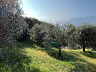 Appartamento per vacanze Malcesine Registrazione all'aperto 9