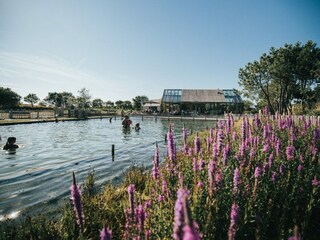 Appartamento per vacanze Ouddorp Ambiente 38