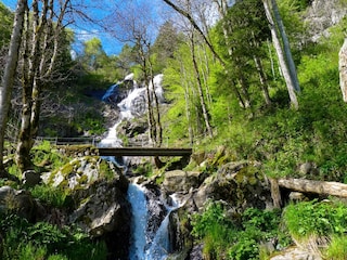Todtnauer Wasserfälle
