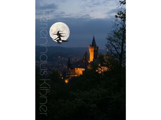 Casa de vacaciones Ilsenburg Entorno 38