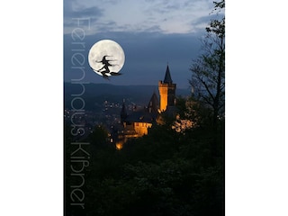 Ferienhaus Ilsenburg Umgebung 39