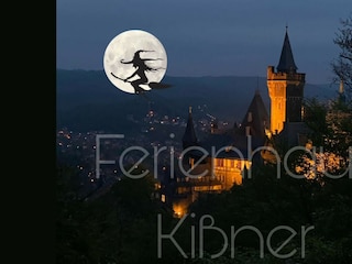 Ferienhaus Ilsenburg Umgebung 40