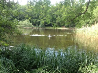 Vakantiehuis Ilsenburg Omgeving 37