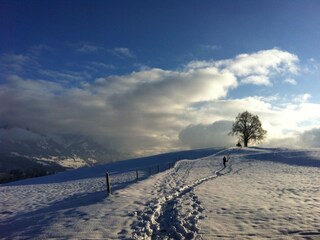 Wunderbare Landschaft