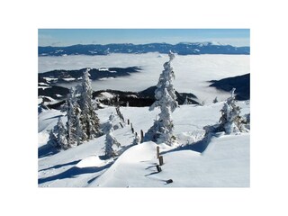 Chalet per sciare Bad St. Leonhard Ambiente 17