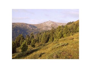 Chalet per sciare Bad St. Leonhard Ambiente 18