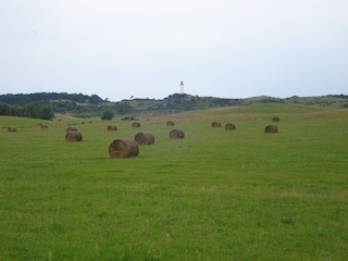 Halbinsel Wittow