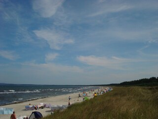 Strand Schabe