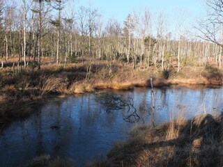 Vakantiehuis Dassel Omgeving 27