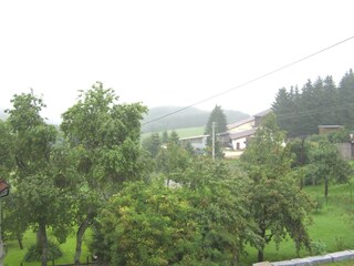 View from the Backside of the House