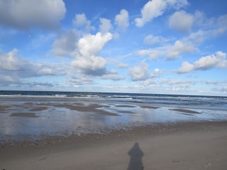 Das Wattenmeer
