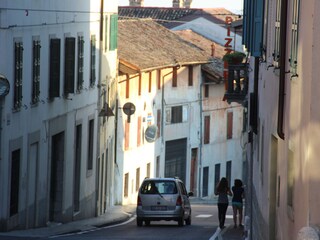 Casa de campo San Daniele del Friuli Entorno 19