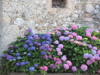 Casa de campo San Daniele del Friuli Grabación al aire libre 7