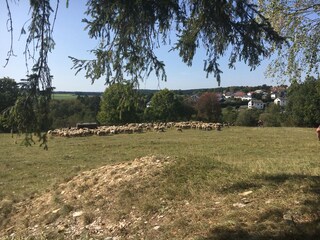 Casa per le vacanze Schernfeld Ambiente 24