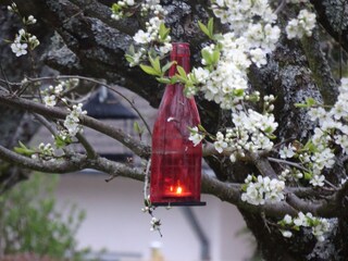 Vakantieappartement Pellingen Buitenaudio-opname 7