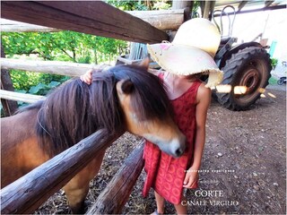 Fattoria Volta Mantovana Registrazione all'aperto 3