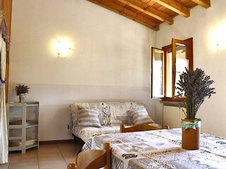 Appartamento per vacanze Volta Mantovana Caratteristiche 15