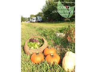 Appartamento per vacanze Volta Mantovana Registrazione all'aperto 4