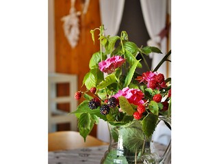 Fattoria Volta Mantovana Caratteristiche 24