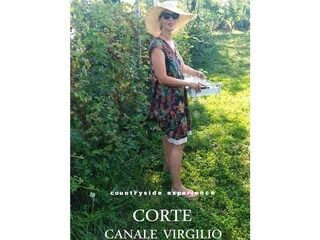 countryside experience