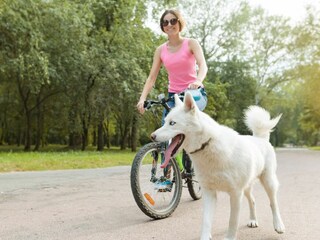 Appartamento per vacanze Volta Mantovana Ambiente 31