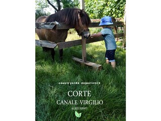 Fattoria Volta Mantovana Ambiente 27