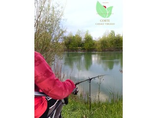 Fattoria Volta Mantovana Ambiente 33