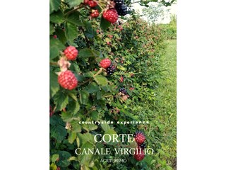 Appartamento per vacanze Volta Mantovana Ambiente 34