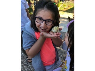 Chicks are born!