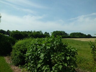Landschaft um das Ferienhaus