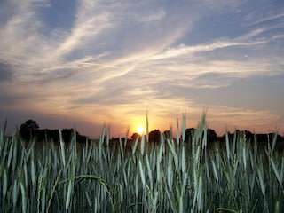 Ferienwohnung Hasselberg Umgebung 33