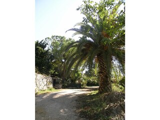 Casa per le vacanze Capoliveri Ambiente 20