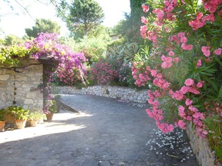 Casa per le vacanze Capoliveri Ambiente 19