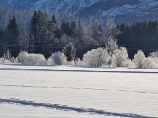 Casa per le vacanze Bad Mitterndorf Registrazione all'aperto 11
