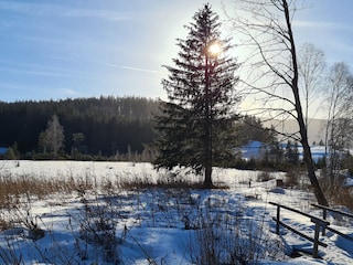 Casa per le vacanze Bad Mitterndorf Ambiente 26