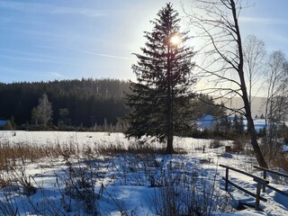 Casa per le vacanze Bad Mitterndorf Ambiente 29