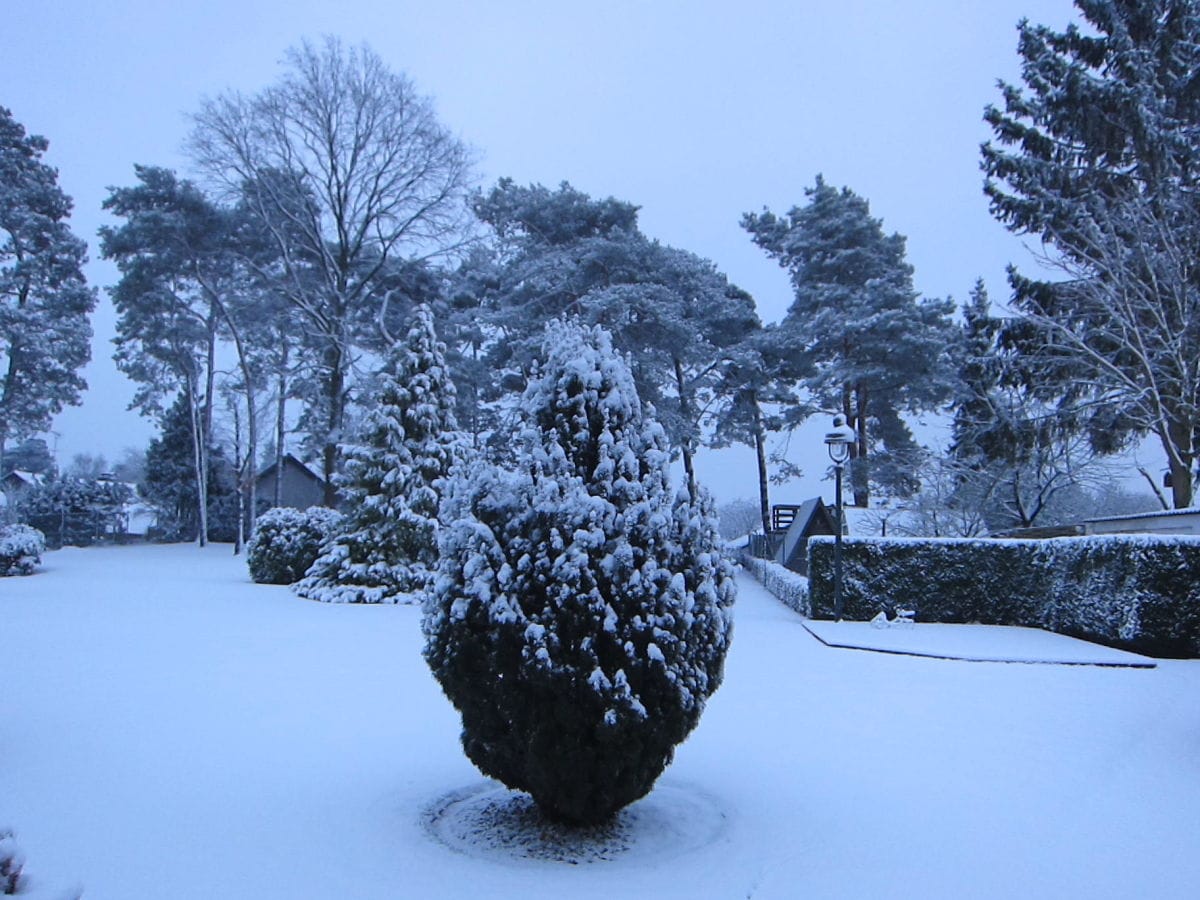 Unser Garten im Schnee