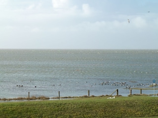 Blick aus dem Fenster:  Hochwasser vor dem Haus