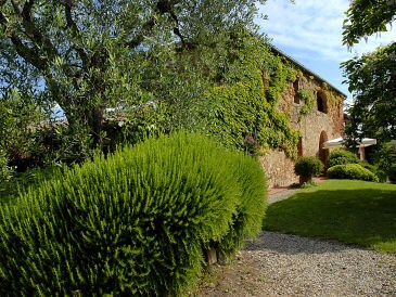 Holiday house Podere Mencoini