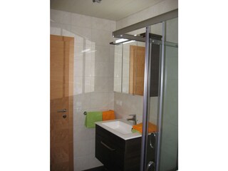 Appartamento per vacanze Hippach Caratteristiche 9