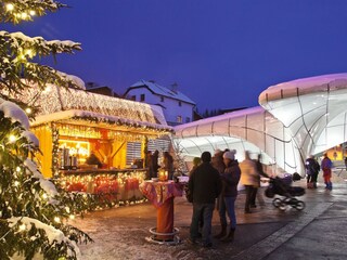 Appartamento per vacanze Innsbruck Ambiente 30