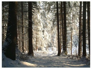 Appartamento per vacanze Innsbruck Ambiente 36