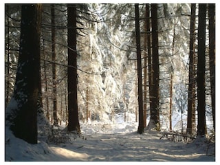 Vakantieappartement Innsbruck Omgeving 36