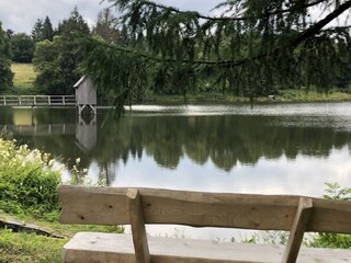 Apartamento de vacaciones Hahnenklee Entorno 27
